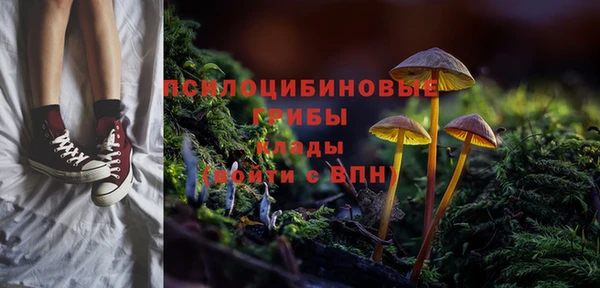 прущая мука Кулебаки