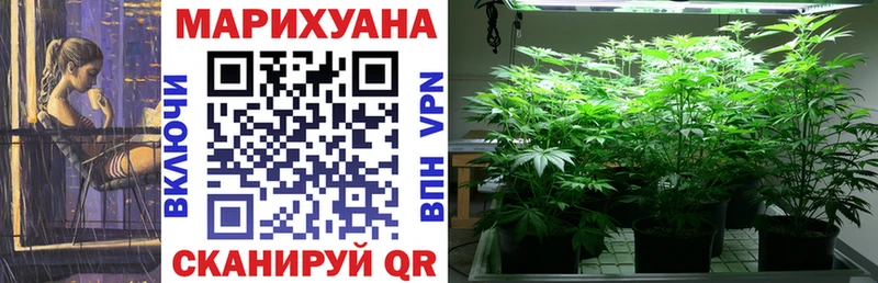 Купить закладки  Ржев  Конопля индика 